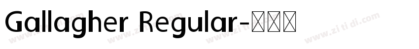 Gallagher Regular字体转换